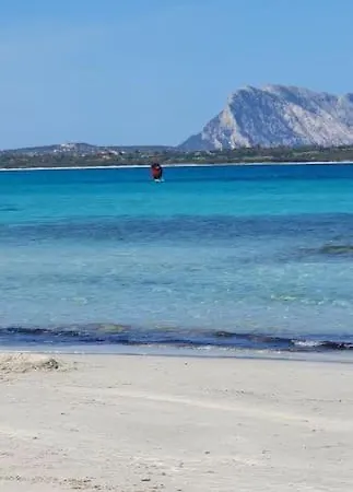 Laura Tatil Evi *